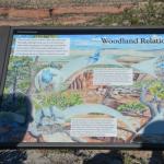 OTRA2013_2088 (July 21, 2013)